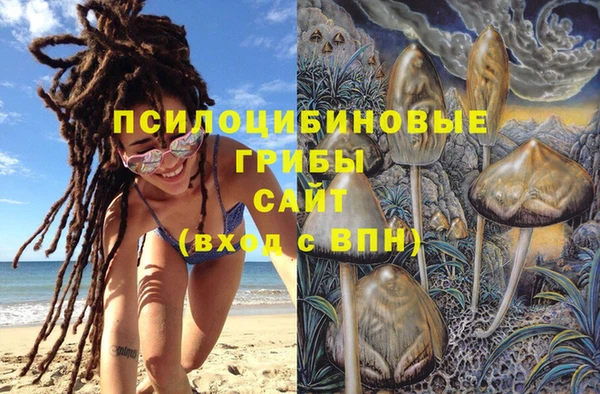 PSILOCYBIN Бугульма